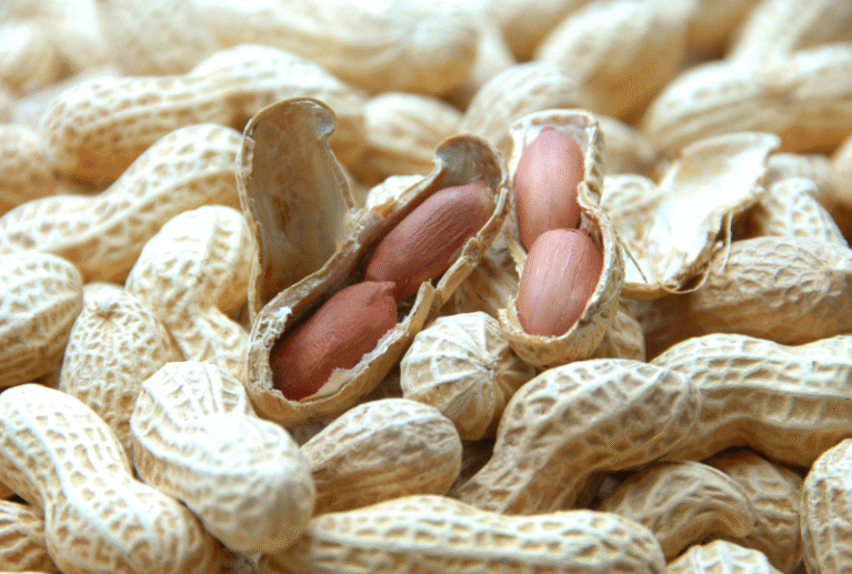 We grow fresh, organic produce using clean methods that protect nature, healthy food.