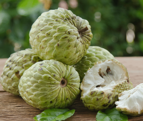 Custard Apples