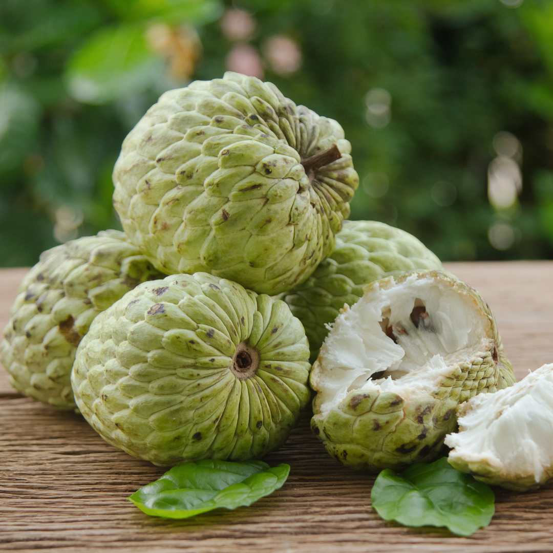 Custard Apples